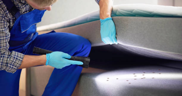 Best Rat Extermination Near Me  in Batesville, IN